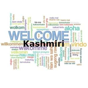 my best friend essay in kashmiri language